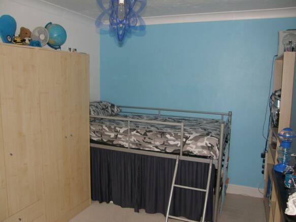 Photo 11