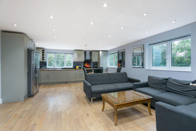 Kitchen/Reception/Dining Room