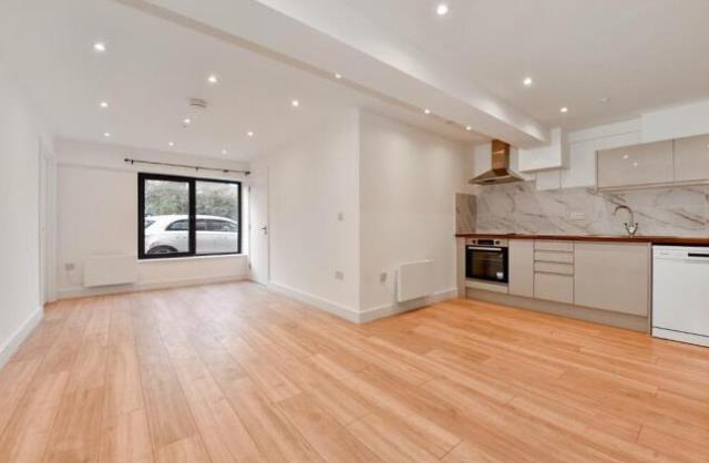 Living Area /Kitchen