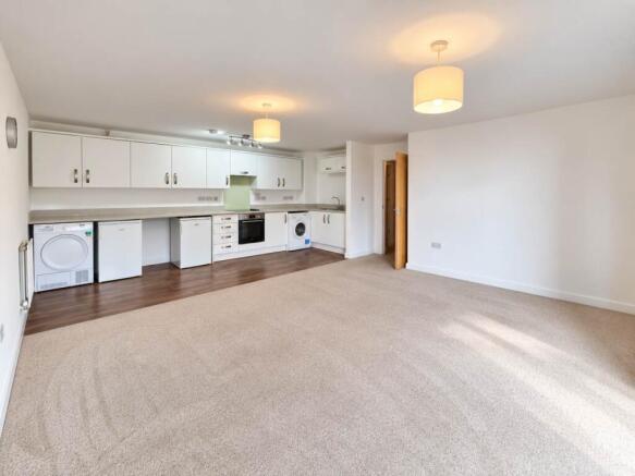 Living room kitchen
