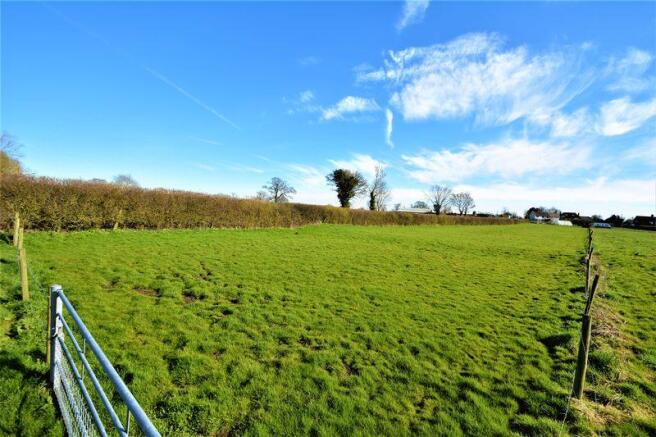 Bottom of field