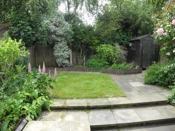 Photo 8