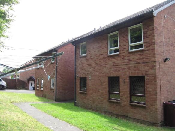 Rear Aspect
