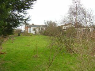 Garden (1)