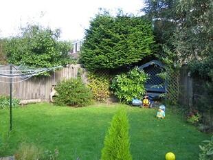 Garden Photo 1