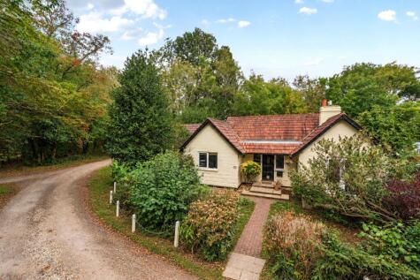 Unstead Wood, Peasmarsh, GU3