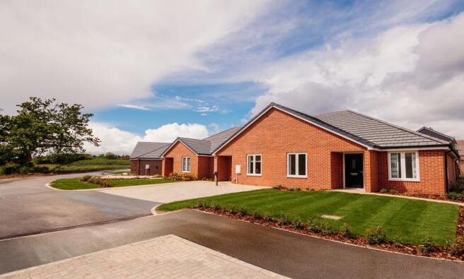 Dandara - The Orchard - The Willow, Home 92