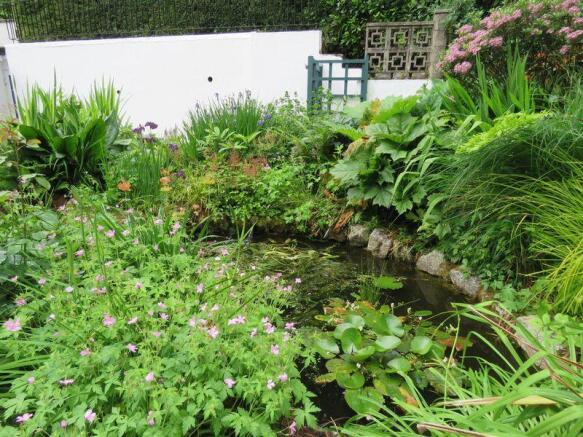 Pond