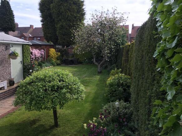 New garden photo 3.J