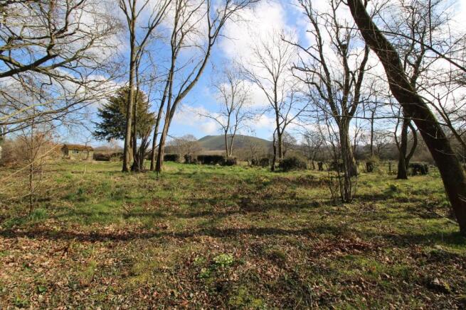 Wooded area