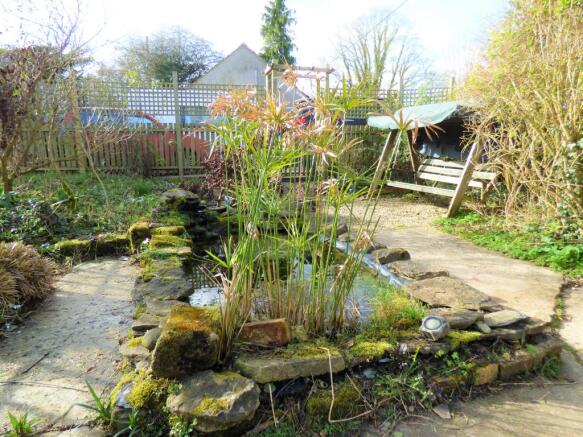 pond