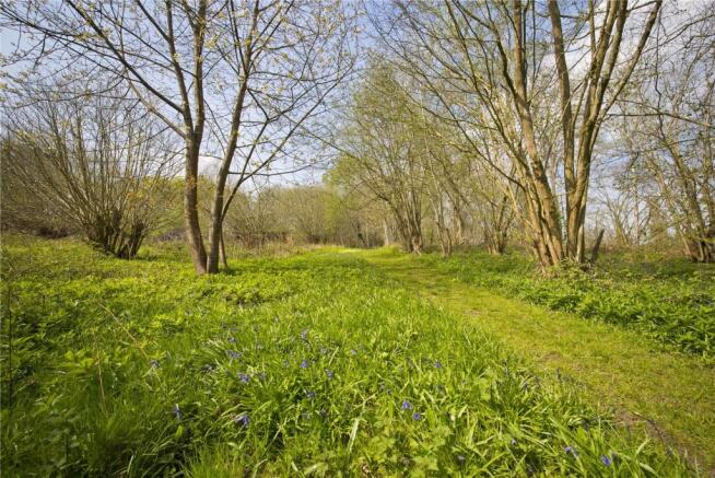 Woodland