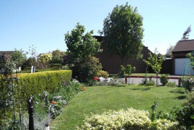 Photo 8