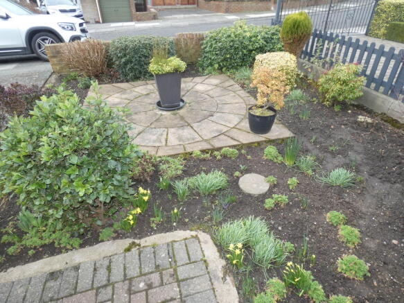 Photo 15