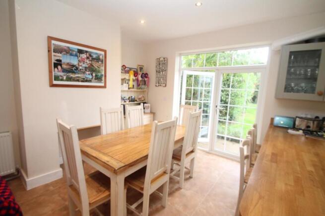 Orchid7.jpg
