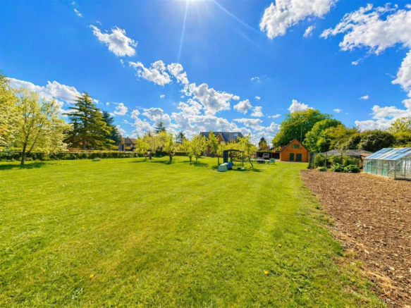 Sunny spring garden