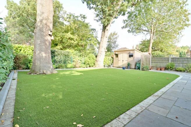 Garden at Back