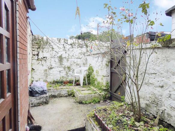IMAGE 12