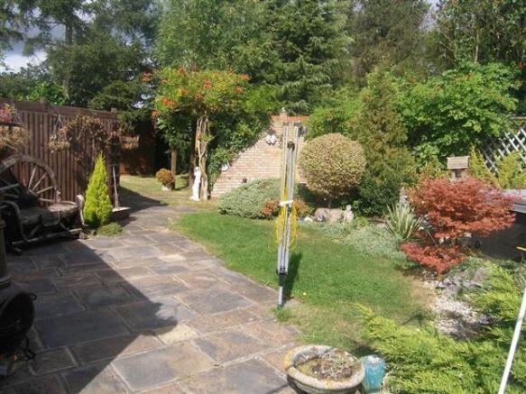 Photo 5