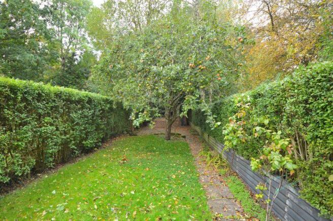 BACK GARDEN