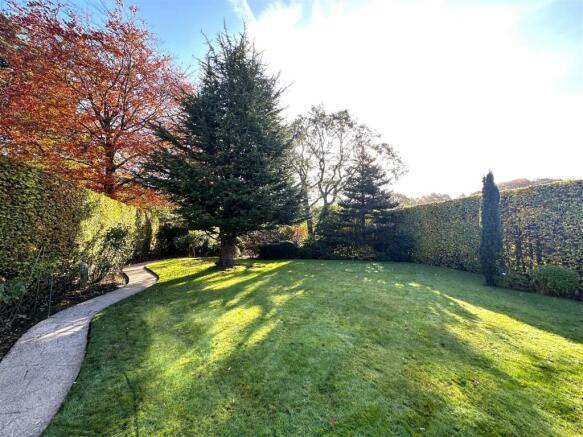 garden 3.jpg
