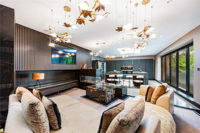 Kitchen/Living Room