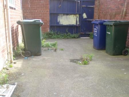Picture 6
