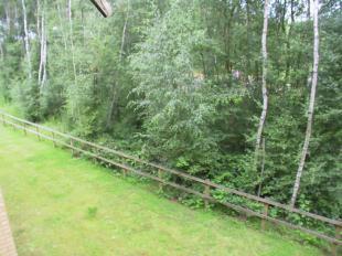 View From All Rooms