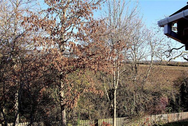 View from Property at Front