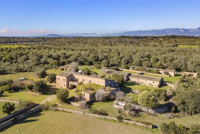 Aerial (7)