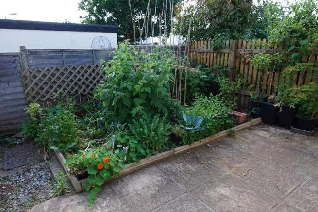 Front Garden