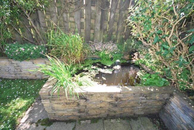 Pond