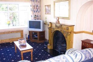 Feature Fireplace