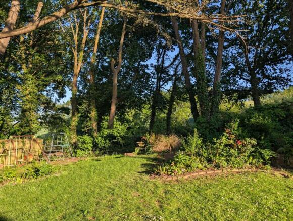 Garden 2.jpg