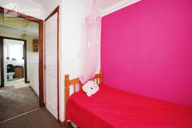 IMAGE 11