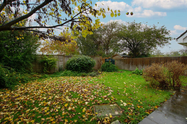 Photo 15