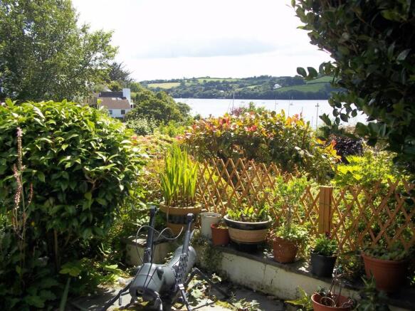 My garden (28).JPG