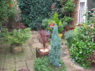Photo 2