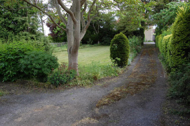 Picture 13