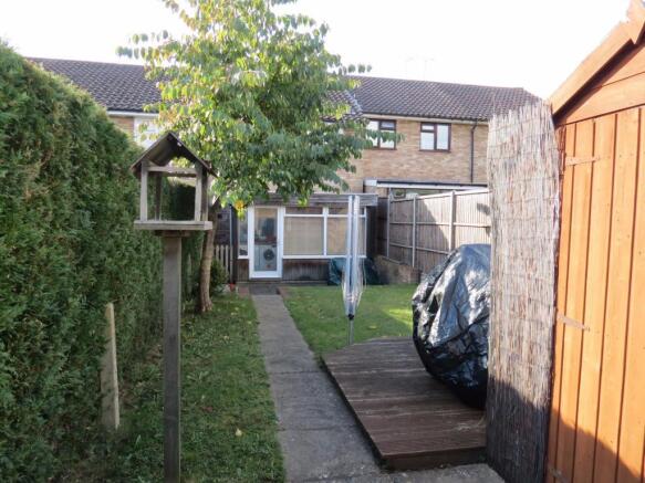 Picture 8