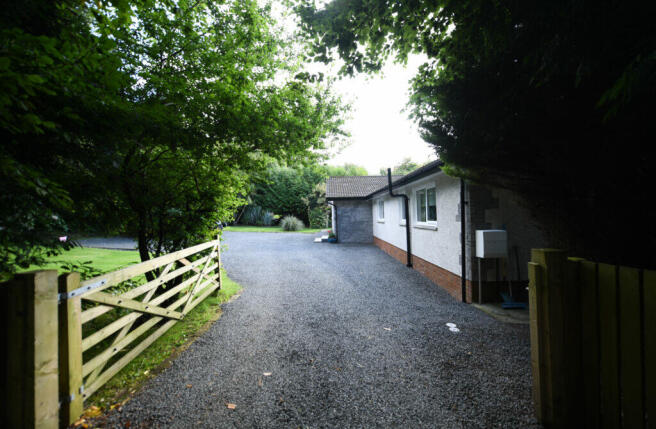 Photo 31