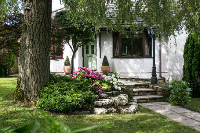 Photo 21