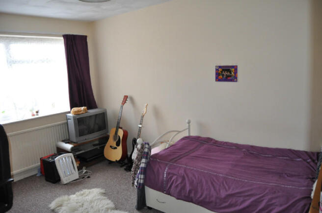 Picture 5