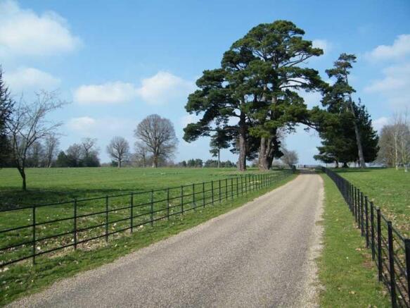 Driveway