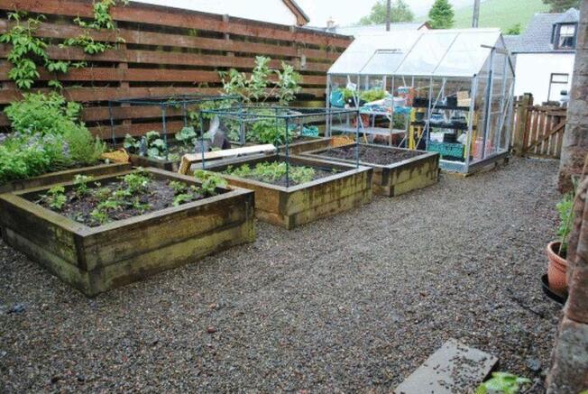 Vegetable Plots