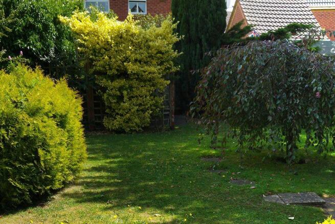 Garden at Back