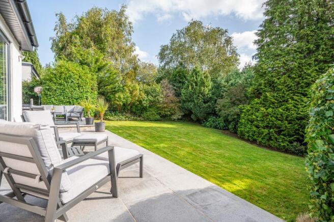 Back Garden
