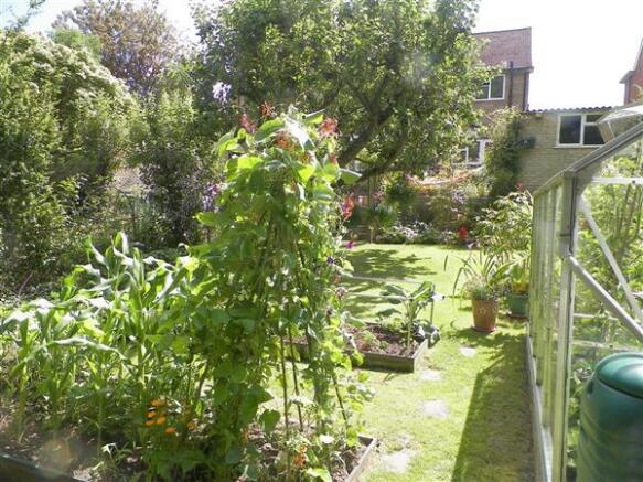 Photo 16