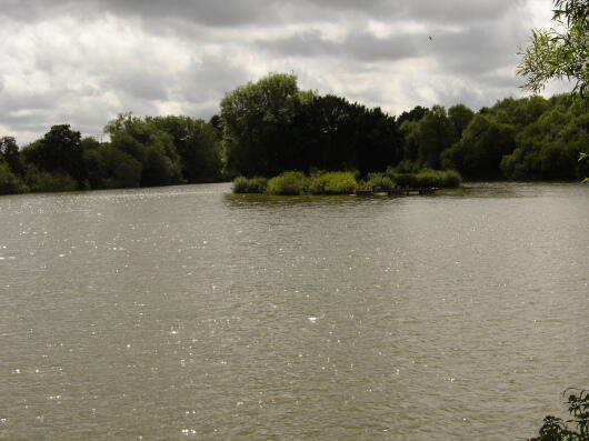 Local view