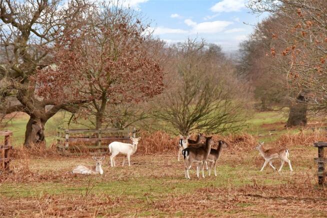 Bradgate Park